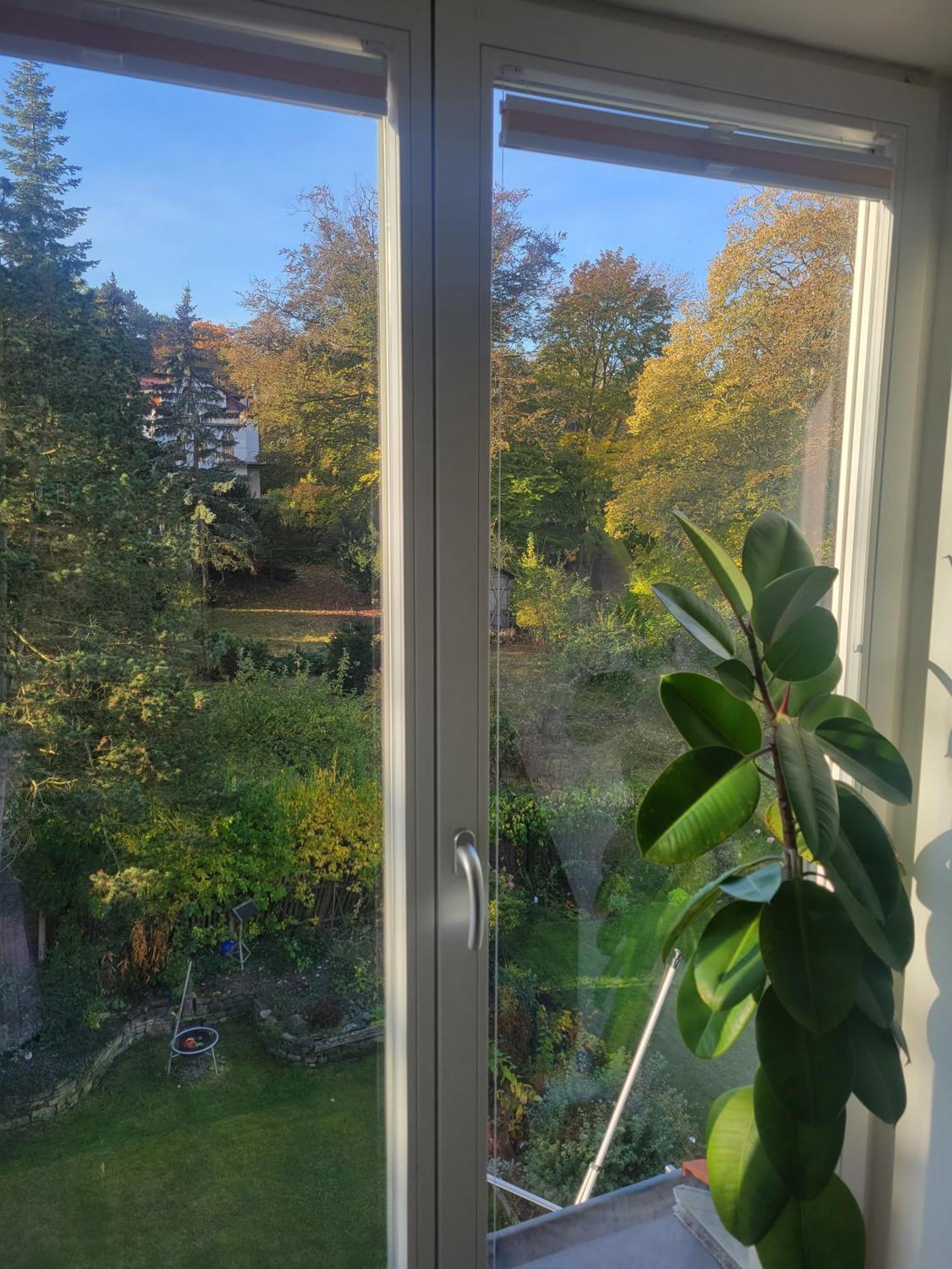 Wohnen Am Steiger In Erfurt Sued Appartement Buitenkant foto